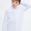 Chemise Oxford rayée