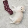 Lot de 2 chaussettes imprimées Noël Lot de 2 chaussettes imprimées Noël