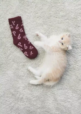 Lot de 2 chaussettes imprimées Noël Lot de 2 chaussettes imprimées Noël