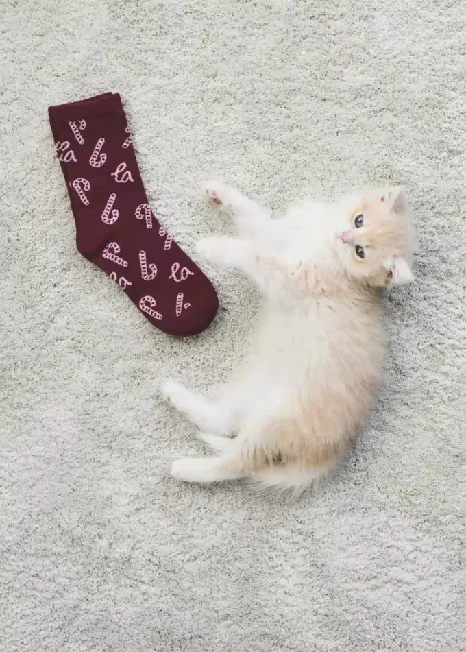 Lot de 2 chaussettes imprimées Noël Lot de 2 chaussettes imprimées Noël
