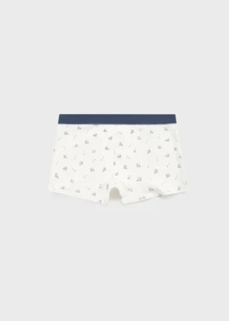 Lot de 3 slips combinés