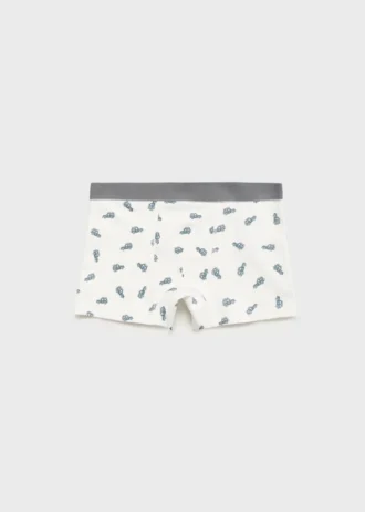 Lot de 3 slips combinés