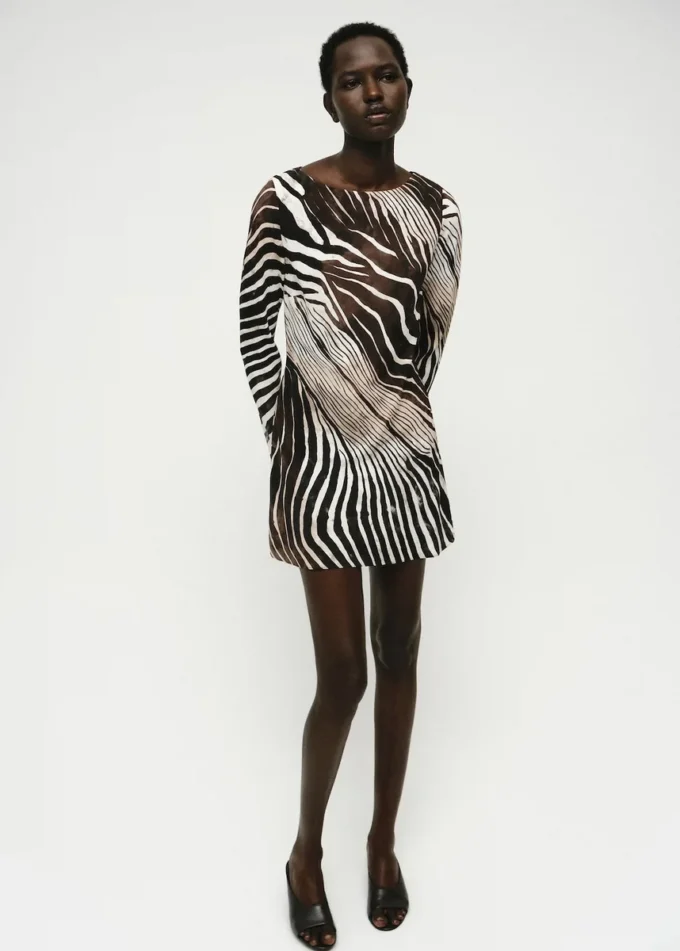 Robe imprimé zèbre à manches évasées Robe imprimé zèbre à manches évasées