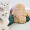 Sac à biscuits au gingembre