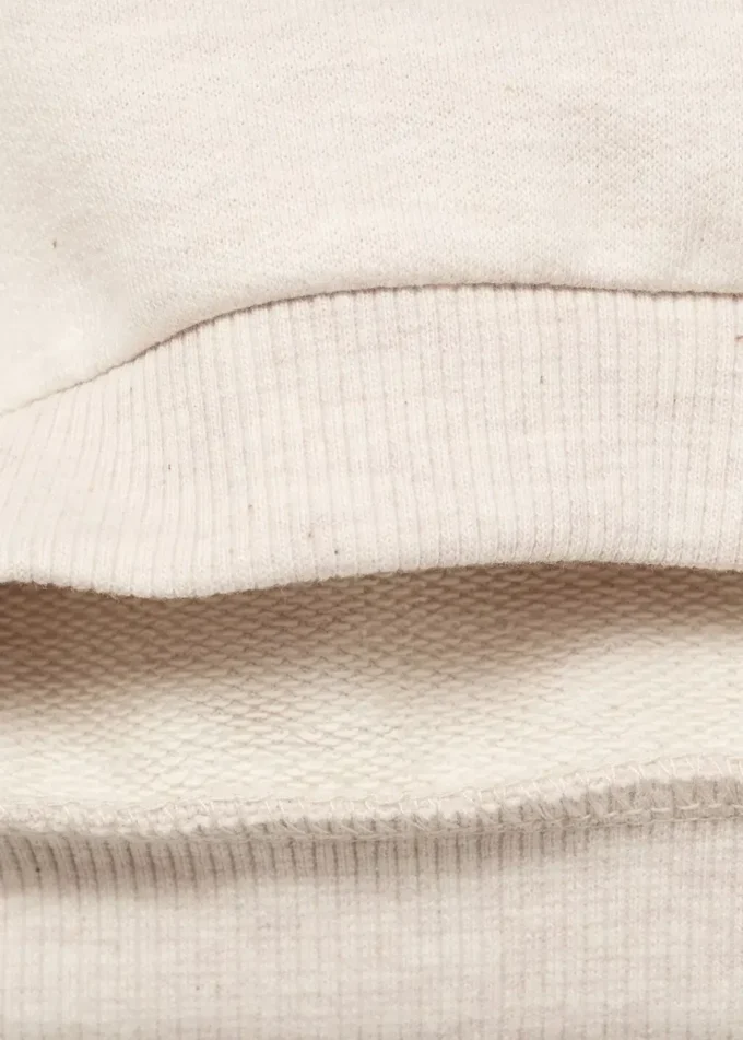 Sweat-shirt avec lion brodé