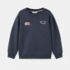 Sweat-shirt en coton brodé