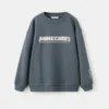 Sweat-shirt Minecraft Sweat-shirt Minecraft