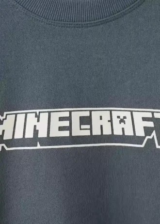 Sweat-shirt Minecraft
