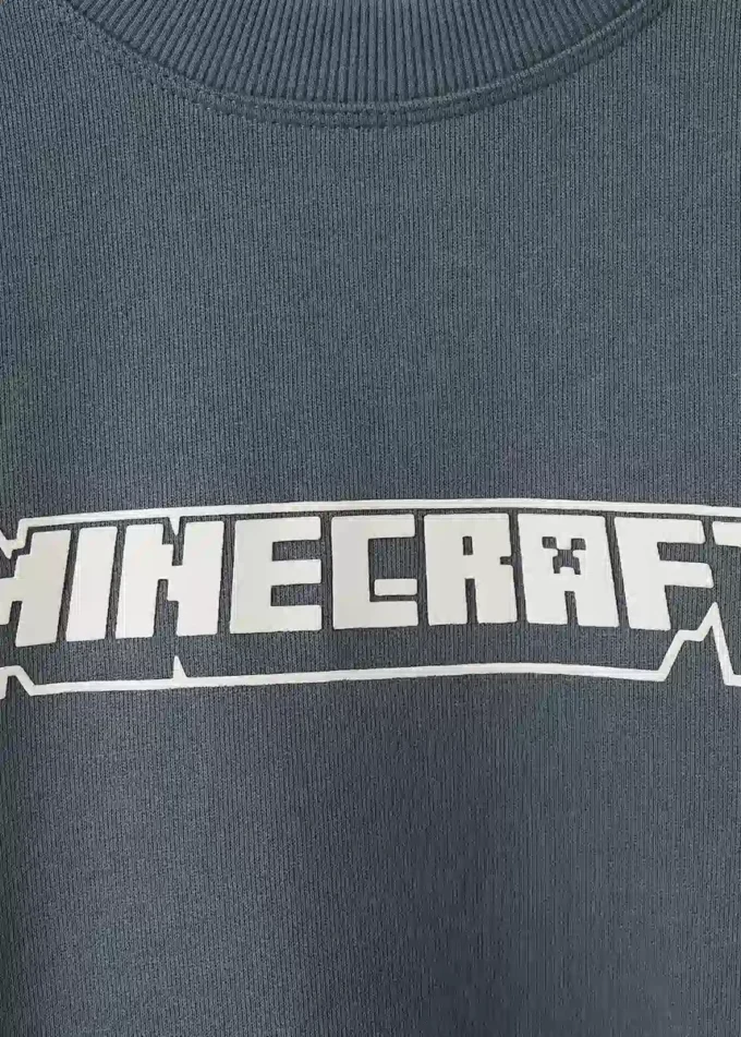 Sweat-shirt Minecraft Sweat-shirt Minecraft