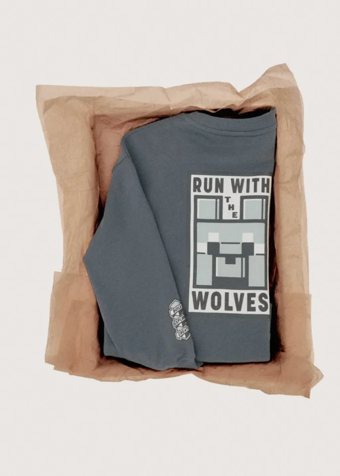 Sweat-shirt Minecraft Sweat-shirt Minecraft
